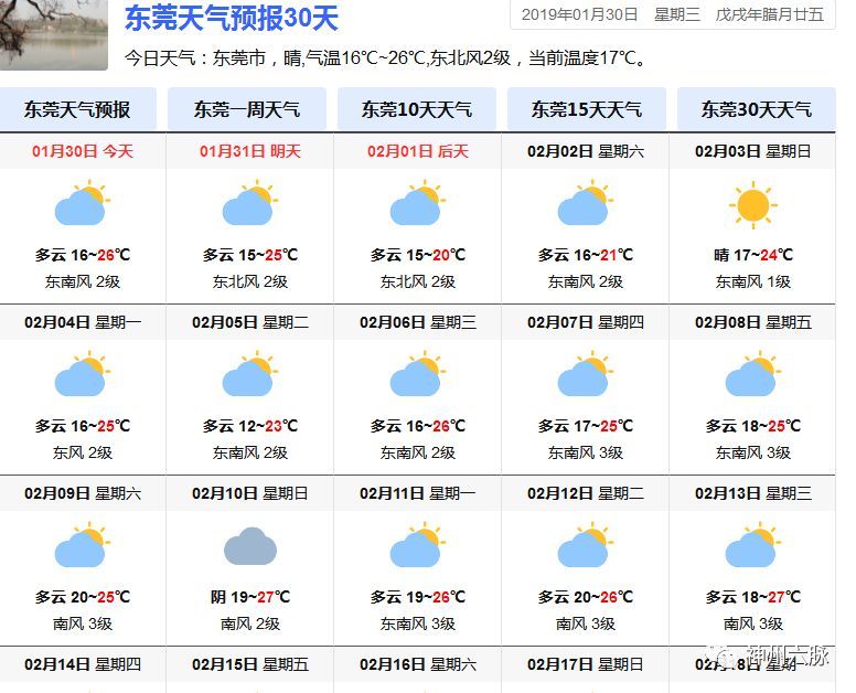 最新 天气,最新天气状况及其影响