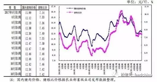 猪最新价格,猪最新价格动态分析