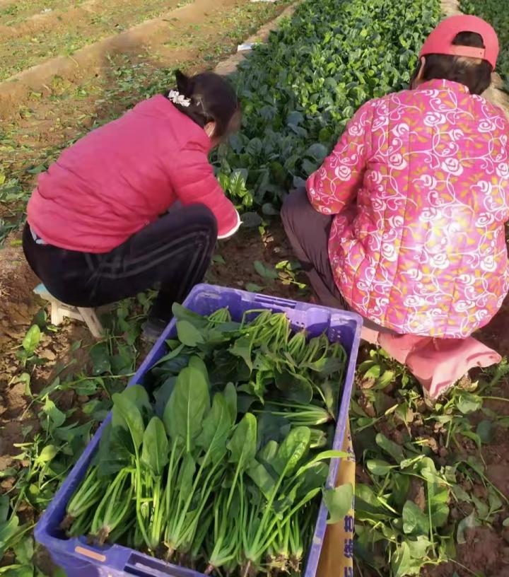 咸阳最新疫情,咸阳最新疫情，防控措施与公众反响