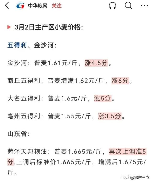 今日最新小麦价格,今日最新小麦价格，市场动态与影响因素分析