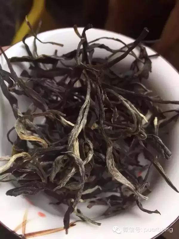 普洱茶最新价格,普洱茶最新价格动态分析