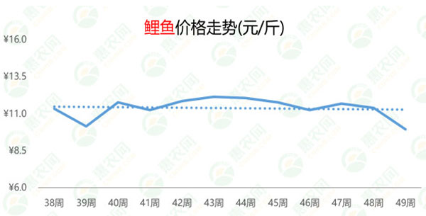 崇山峻岭 第8页