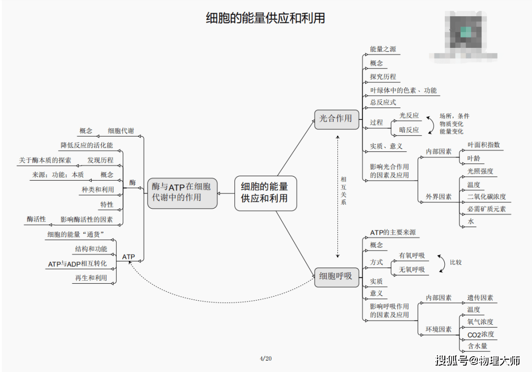 优柔寡断 第4页