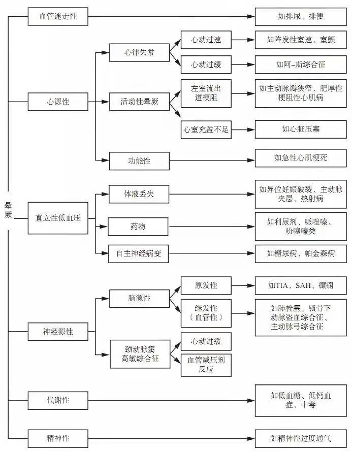 7777788888王中王中特,探索数字背后的秘密，王中王中特与数字世界中的奇迹