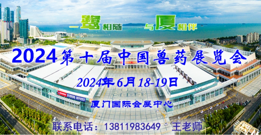 2024新澳门正版挂牌,新澳门正版挂牌，探索未来的机遇与挑战