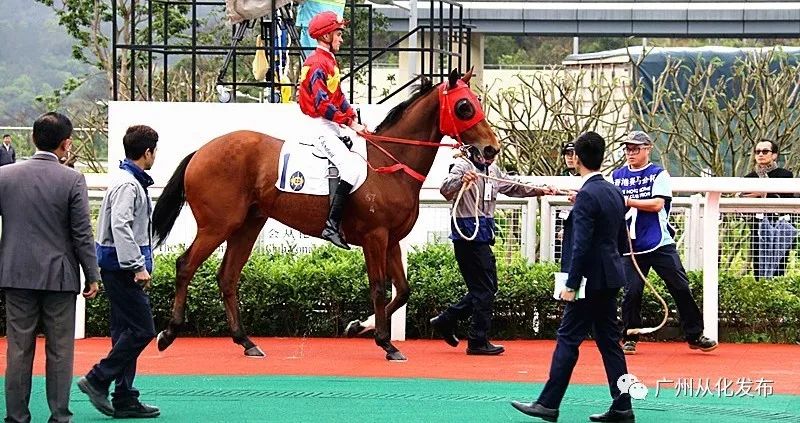 2025今晚香港开特马,香港特马盛宴，期待今晚2025年的精彩揭晓