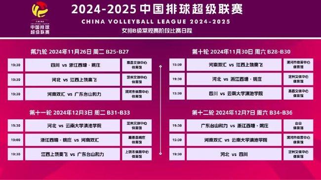 新澳资料大全正版2025,新澳资料大全正版2025，探索与前瞻