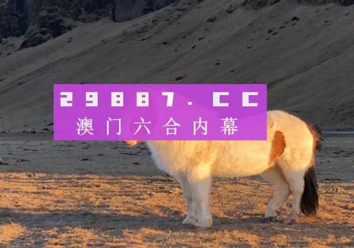 澳门一肖一码一必开一肖080期 02-16-20-25-39-49Z：14,澳门一肖一码一必开一肖，探寻幸运之码的神秘面纱