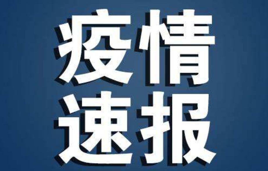 最准一尚一码100中特117期 01-04-05-43-44-49N：43,最准一尚一码，探寻彩票背后的秘密故事——第117期中特彩票解析与体验分享