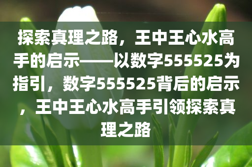 555525王中王心水高手131期 03-24-26-29-34-42E：48,探索数字的秘密，王中王心水高手的策略与智慧