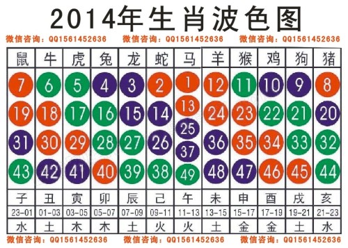 2025十二生肖49码表071期 08-09-10-15-27-35C：15,探索十二生肖与彩票密码，一场神秘而有趣的结合